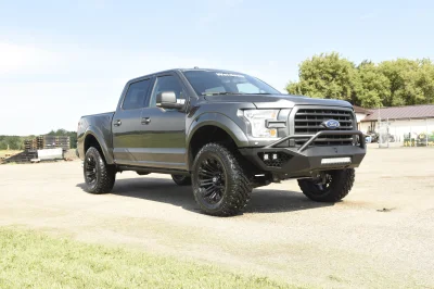 MAGNETIC 3 - 2014 FORD F-150 STORM - Image 3 of 16