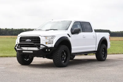 OXFORD WHITE 2 - 2014 FORD F-150 STORM - Image 1 of 12