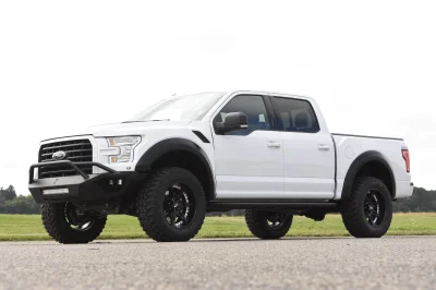 OXFORD WHITE 2 - 2014 FORD F-150 STORM - Image 12 of 12
