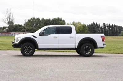 OXFORD WHITE 2 - 2014 FORD F-150 STORM - Image 2 of 12
