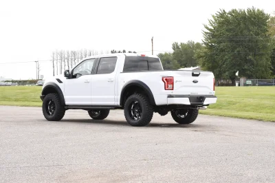OXFORD WHITE 2 - 2014 FORD F-150 STORM - Image 3 of 12