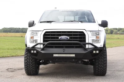 OXFORD WHITE 2 - 2014 FORD F-150 STORM - Image 5 of 12