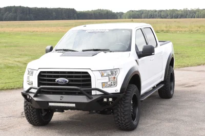 OXFORD WHITE 2 - 2014 FORD F-150 STORM - Image 6 of 12