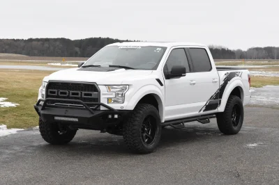OXFORD WHITE 3 - 2014 FORD F-150 STORM - Image 1 of 12