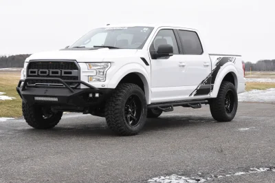 OXFORD WHITE 3 - 2014 FORD F-150 STORM - Image 4 of 12