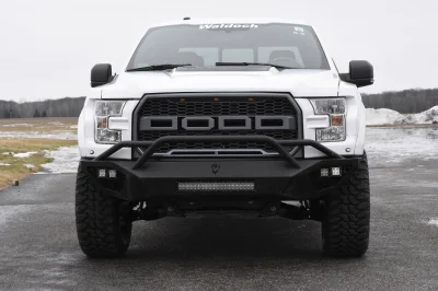 OXFORD WHITE 3 - 2014 FORD F-150 STORM - Image 5 of 12