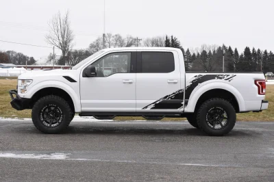 OXFORD WHITE 3 - 2014 FORD F-150 STORM - Image 6 of 12