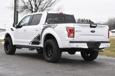 OXFORD WHITE 3 - 2014 FORD F-150 STORM - Image 7 of 12