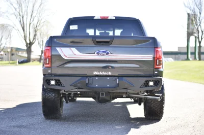 LITHIUM GRAY 2 - 2014 FORD F-150 STORM - Image 10 of 20