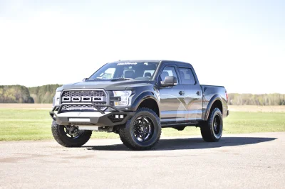 LITHIUM GRAY 2 - 2014 FORD F-150 STORM - Image 18 of 20