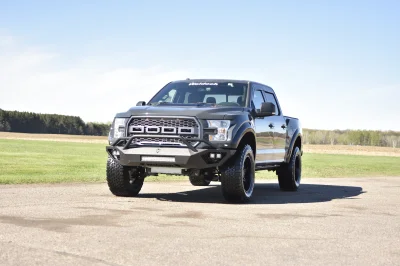 LITHIUM GRAY 2 - 2014 FORD F-150 STORM - Image 3 of 20