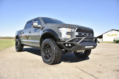 LITHIUM GRAY 2 - 2014 FORD F-150 STORM - Image 5 of 20