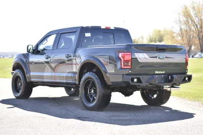 LITHIUM GRAY 2 - 2014 FORD F-150 STORM - Image 9 of 20