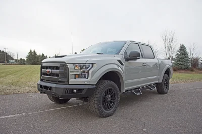 STONE GRAY - 2014 FORD F-150 STORM - Image 12 of 18
