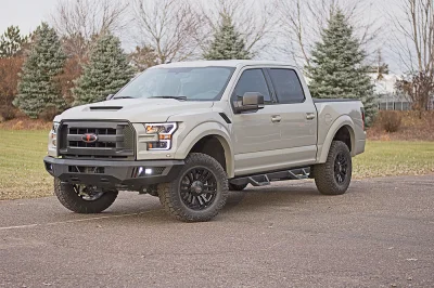 STONE GRAY - 2014 FORD F-150 STORM - Image 18 of 18
