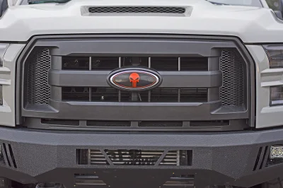 STONE GRAY - 2014 FORD F-150 STORM - Image 8 of 18