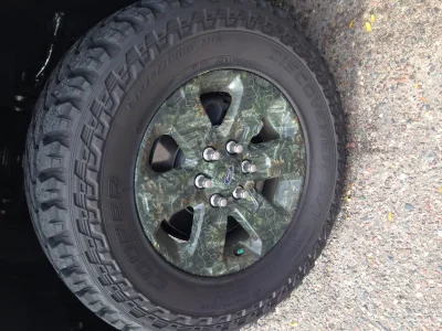 CAMO F150 - 2015 FORD F-150 CUSTOM - Image 32 of 82