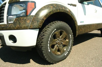CAMO F150 - 2015 FORD F-150 CUSTOM - Image 55 of 82