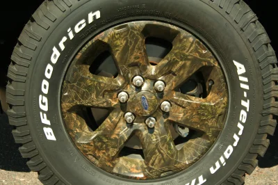 CAMO F150 - 2015 FORD F-150 CUSTOM - Image 56 of 82