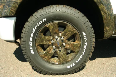 CAMO F150 - 2015 FORD F-150 CUSTOM - Image 57 of 82