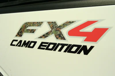 CAMO F150 - 2015 FORD F-150 CUSTOM - Image 59 of 82