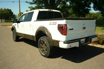 CAMO F150 - 2015 FORD F-150 CUSTOM - Image 60 of 82