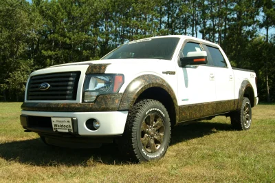 CAMO F150 - 2015 FORD F-150 CUSTOM - Image 69 of 82