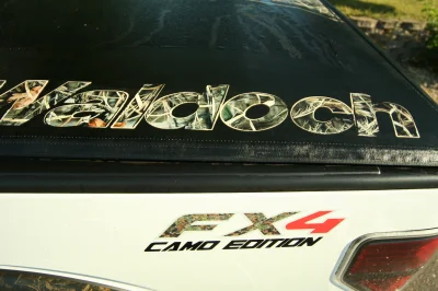 CAMO F150 - 2015 FORD F-150 CUSTOM - Image 76 of 82