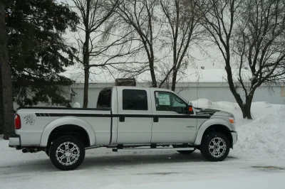 BOSS F350 SD - 2015 FORD F-150 CUSTOM - Image 6 of 7