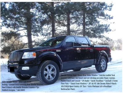 OLD PIC S - 2015 FORD F-150 CUSTOM - Image 1 of 264