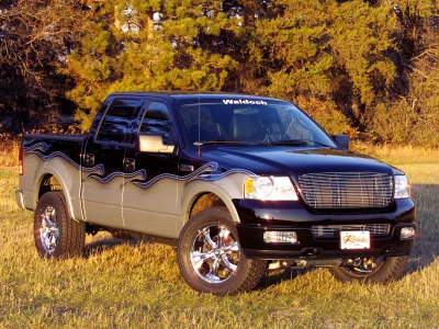 OLD PIC S - 2015 FORD F-150 CUSTOM - Image 259 of 264