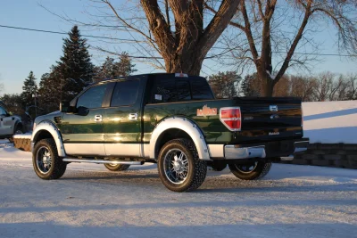 EMERALD GREEN FORD 2 TONE - 2015 FORD F-150 M80 - Image 9 of 28