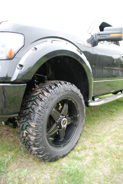 OLDER - 2015 FORD F-150 RAMPAGE - Image 11 of 353