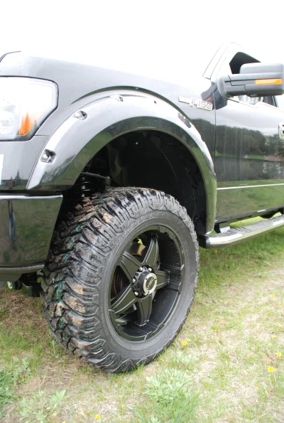 OLDER - 2015 FORD F-150 RAMPAGE - Image 14 of 353