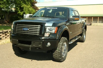 OLDER - 2015 FORD F-150 RAMPAGE - Image 180 of 353