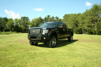 OLDER - 2015 FORD F-150 RAMPAGE - Image 187 of 353