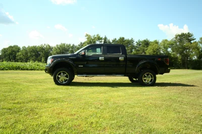 OLDER - 2015 FORD F-150 RAMPAGE - Image 188 of 353