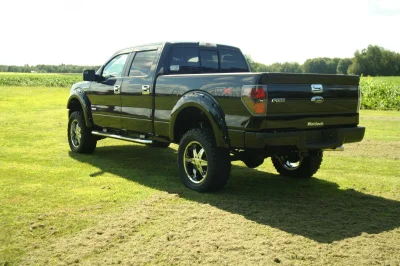 OLDER - 2015 FORD F-150 RAMPAGE - Image 191 of 353