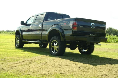 OLDER - 2015 FORD F-150 RAMPAGE - Image 193 of 353
