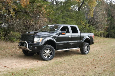 OLDER - 2015 FORD F-150 RAMPAGE - Image 200 of 353