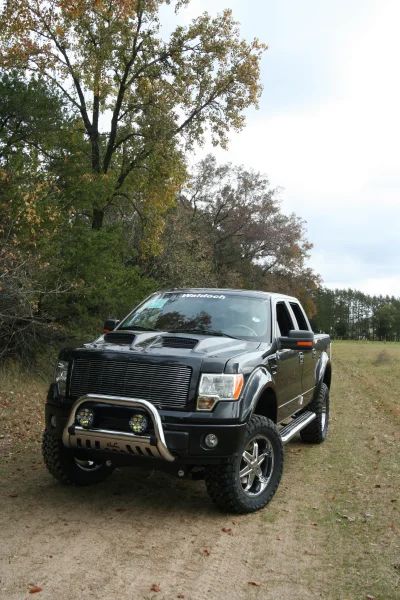 OLDER - 2015 FORD F-150 RAMPAGE - Image 201 of 353