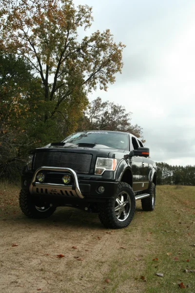 OLDER - 2015 FORD F-150 RAMPAGE - Image 203 of 353