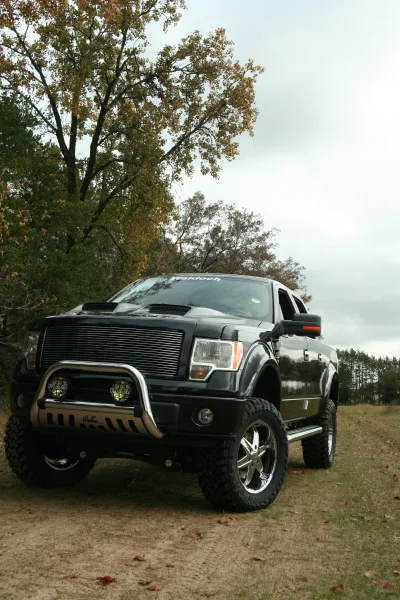 OLDER - 2015 FORD F-150 RAMPAGE - Image 204 of 353