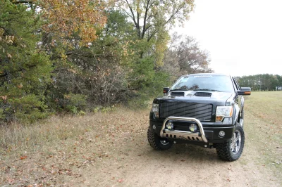OLDER - 2015 FORD F-150 RAMPAGE - Image 205 of 353