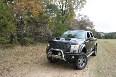 OLDER - 2015 FORD F-150 RAMPAGE - Image 206 of 353