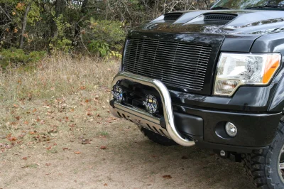 OLDER - 2015 FORD F-150 RAMPAGE - Image 208 of 353