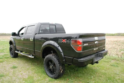 OLDER - 2015 FORD F-150 RAMPAGE - Image 21 of 353