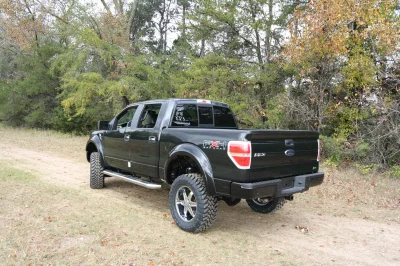 OLDER - 2015 FORD F-150 RAMPAGE - Image 211 of 353
