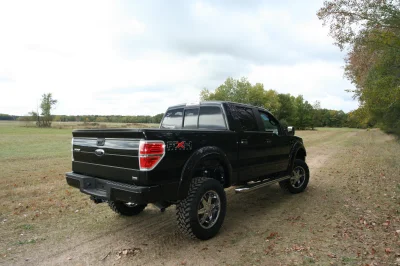 OLDER - 2015 FORD F-150 RAMPAGE - Image 213 of 353