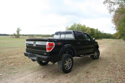 OLDER - 2015 FORD F-150 RAMPAGE - Image 214 of 353
